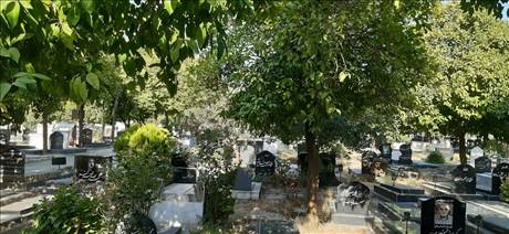 آرامگاه موتمدی